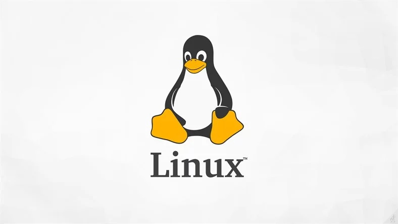 Linux Logo