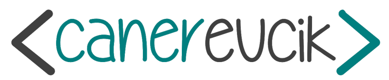 canerevcik.com